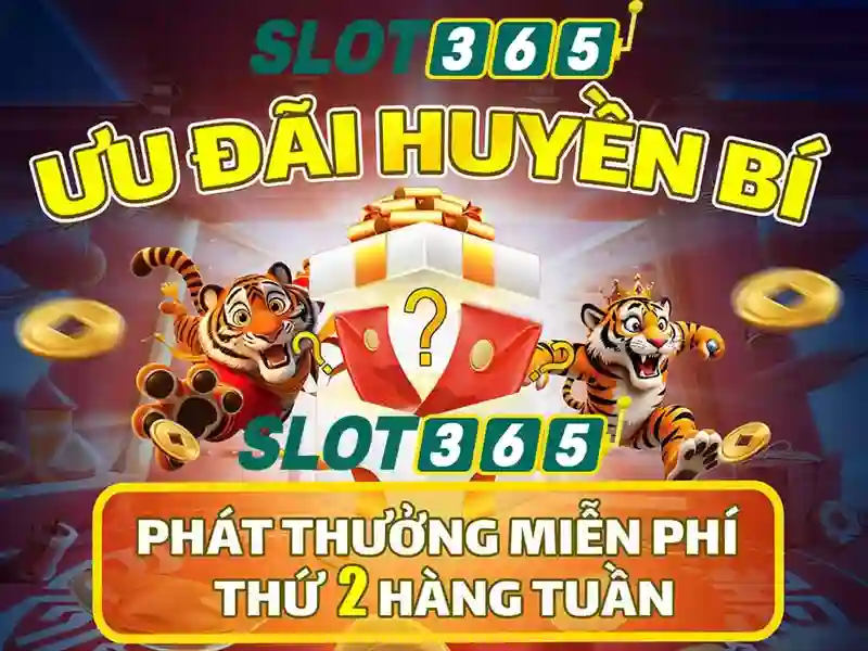 Slot365: Trải nghiệm người dùng và hệ thống thanh toán