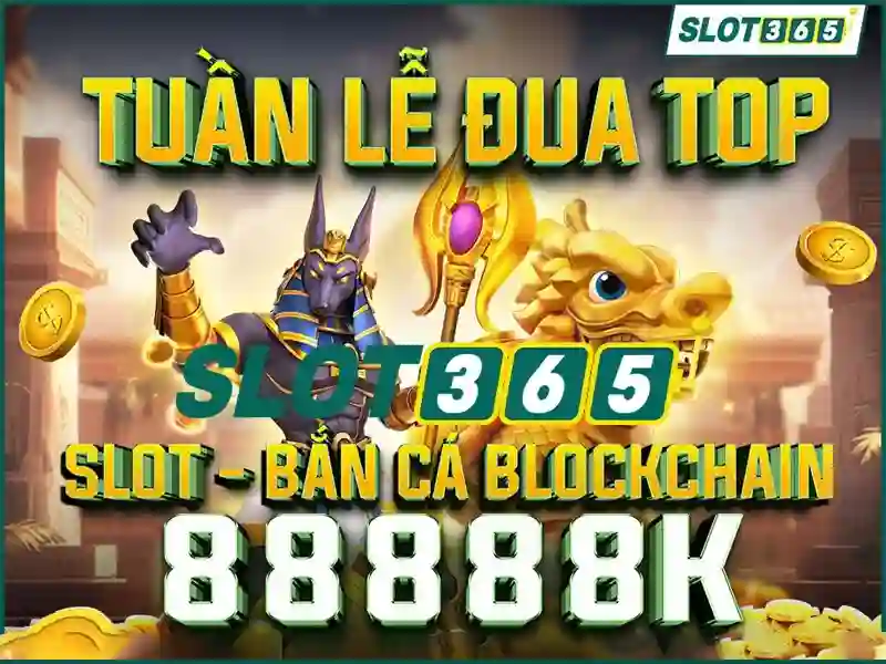 Giao diện và trải nghiệm người dùng