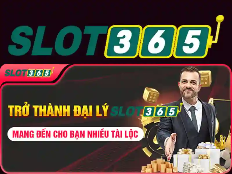 Bạn có thể tin cậy Slot365 ở những điểm nào?