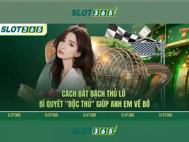 Tại sao chọn Slot365?
