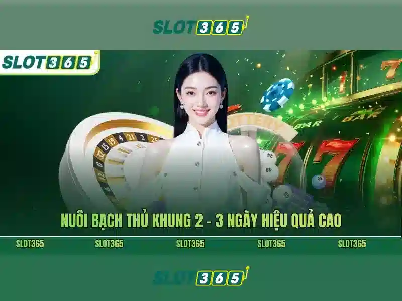Slot365: Đánh giá tổng quan về nền tảng slots trực tuyến