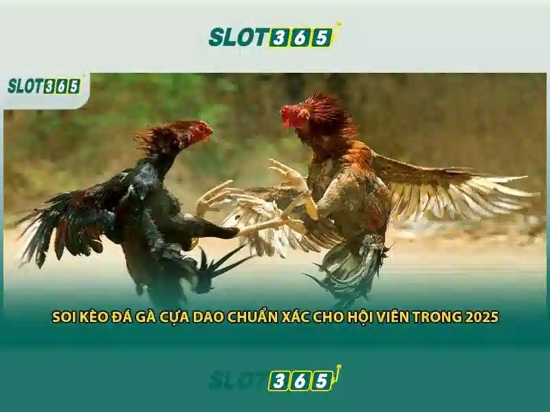 Giao diện thân thiện, dễ dùng và tối ưu trên di động