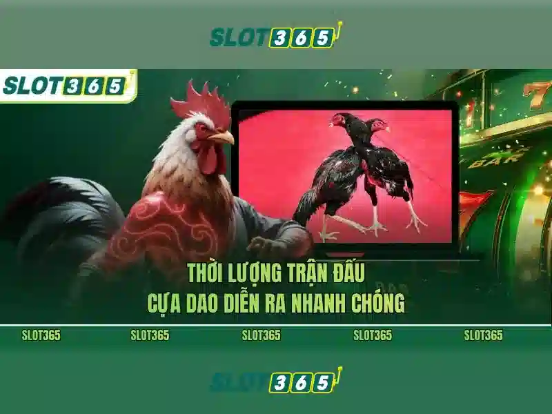 Chính sách nạp rút và khuyến mãi