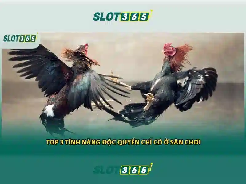 Khám phá các trò chơi slot hấp dẫn tại Slot365