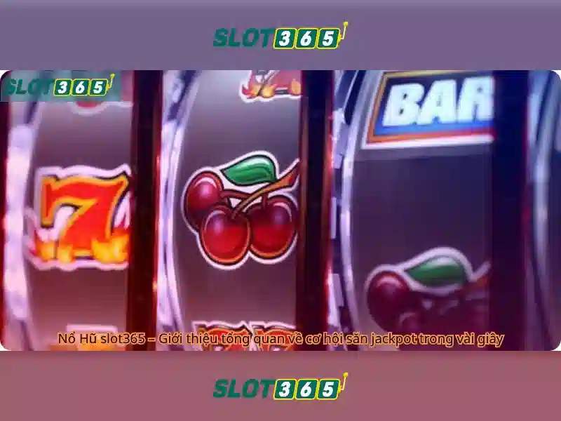 Slot365: Trải nghiệm casino trực tuyến an toàn và thú vị