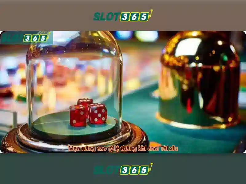 Slot365: Nền tảng slot trực tuyến nổi bật và những điều cần biết