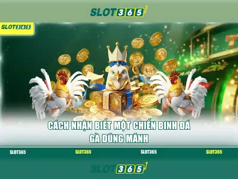 Giao diện và trải nghiệm người dùng