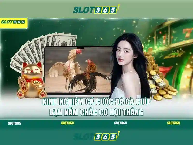 Các trò chơi và nhà cung cấp đối tác