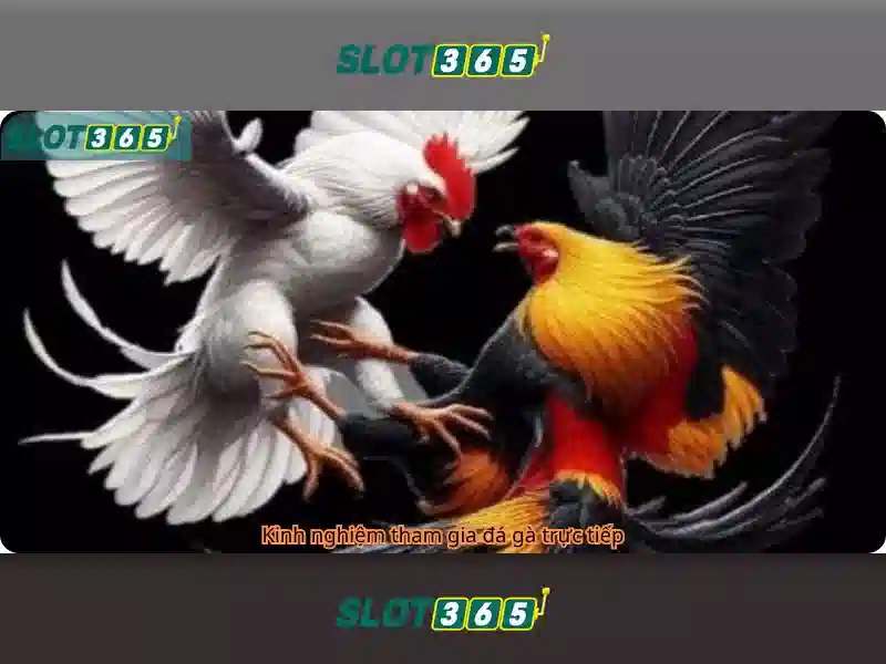 Slot365 là gì và tại sao nhiều người quan tâm