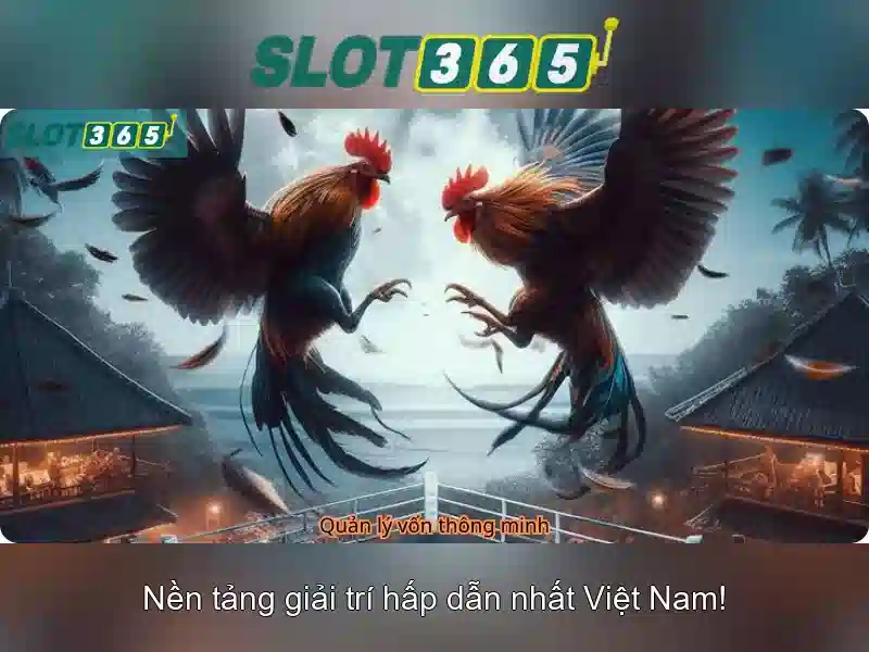 Khám phá bonus và khuyến mãi