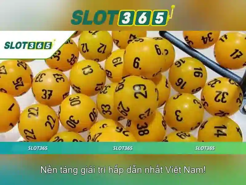 Tong quan ve quyen va nghia vu cua nguoi choi tai nha cai uy tin slot365