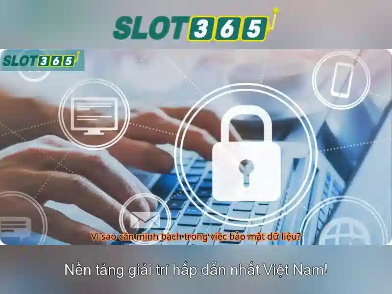 Slot365 – Tổng quan về nền tảng đánh bạc trực tuyến