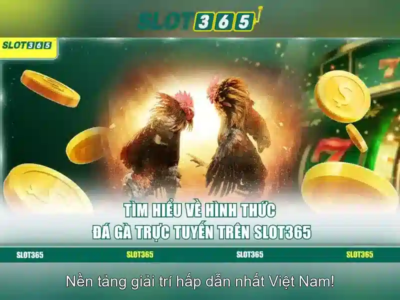 Slot365: Đánh giá, hướng dẫn và trải nghiệm slot trực tuyến