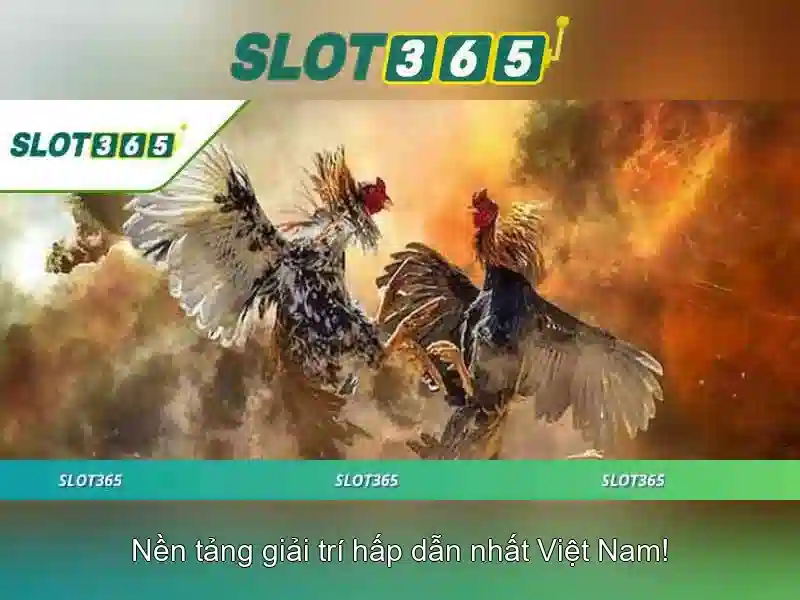 Trò chơi và nhà cung cấp