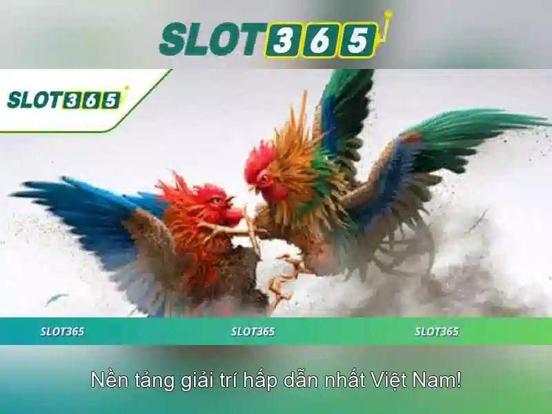 slot365-conclusion