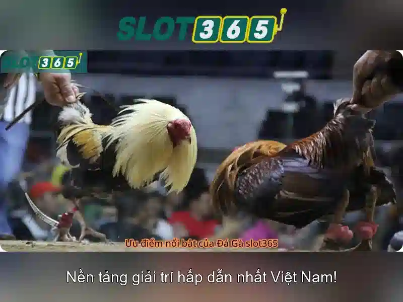 Slot365: Đánh giá và trải nghiệm trò chơi trực tuyến