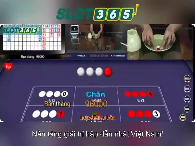 Kết luận và mẹo chơi Slot365