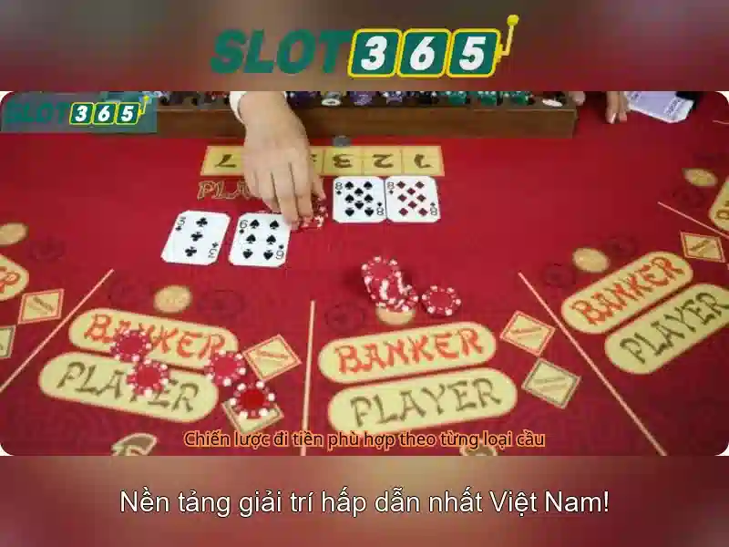 Slot365: Tổng quan về nền tảng cá cược trực tuyến