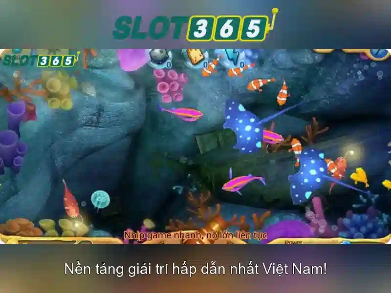 Slot365: Nền tảng chơi slot trực tuyến phổ biến