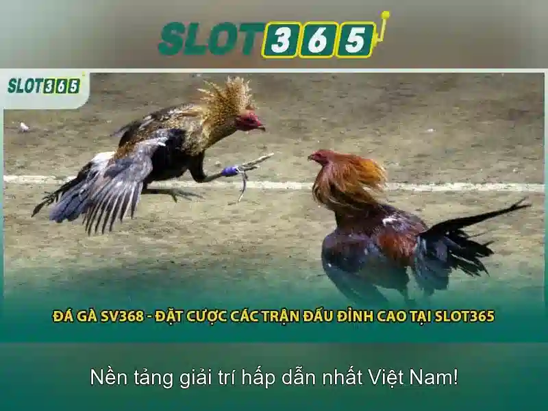 Danh mục trò chơi và nhà cung cấp