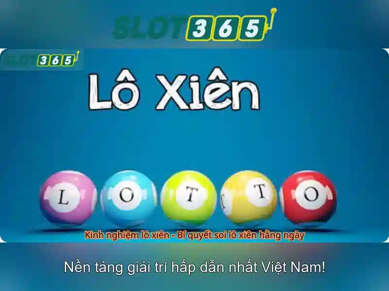 Trải nghiệm người dùng và giao diện