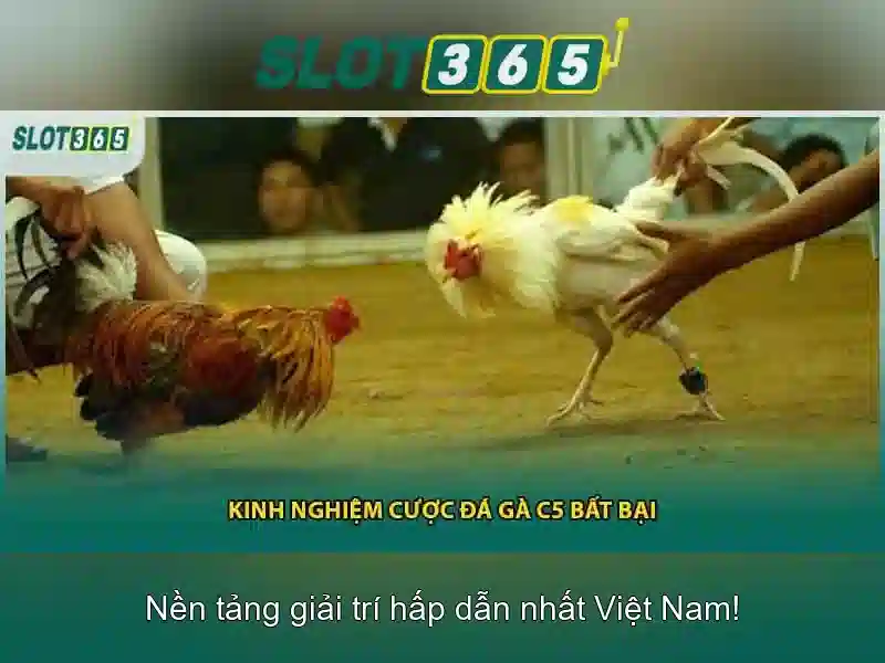 Giao diện và trải nghiệm người dùng