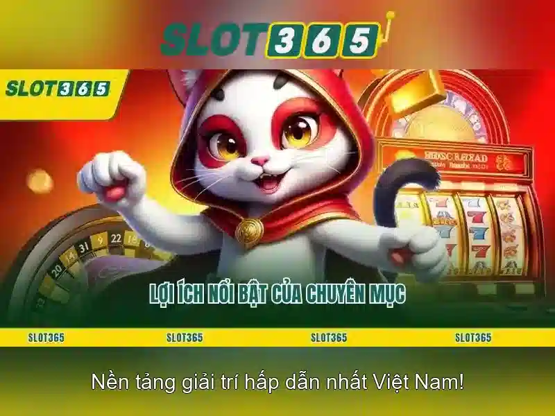 Slot365: Cổng thông tin về máy đánh bạc trực tuyến