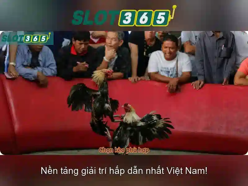 Danh mục trò chơi và máy slot