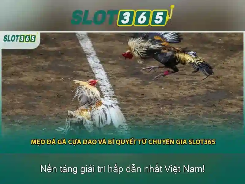 Slot365 là nền tảng máy đánh bạc trực tuyến nổi tiếng