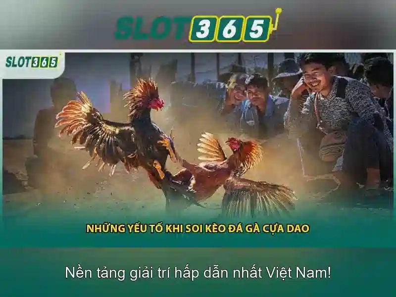 Slot365: Tổng quan về sòng bạc trực tuyến và trò chơi