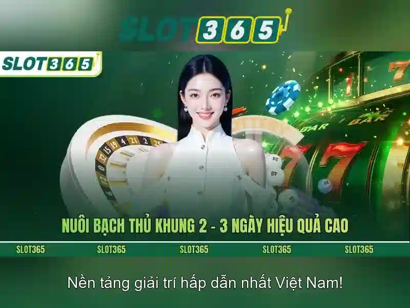 Slot365: Nền tảng trò chơi khe trực tuyến và giải trí uy tín