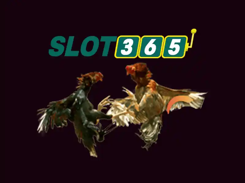Slot365 - Tổng quan và Hướng dẫn chơi