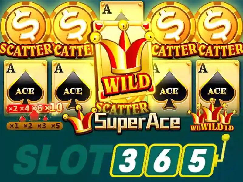 Trải nghiệm chơi và thanh toán Slot365