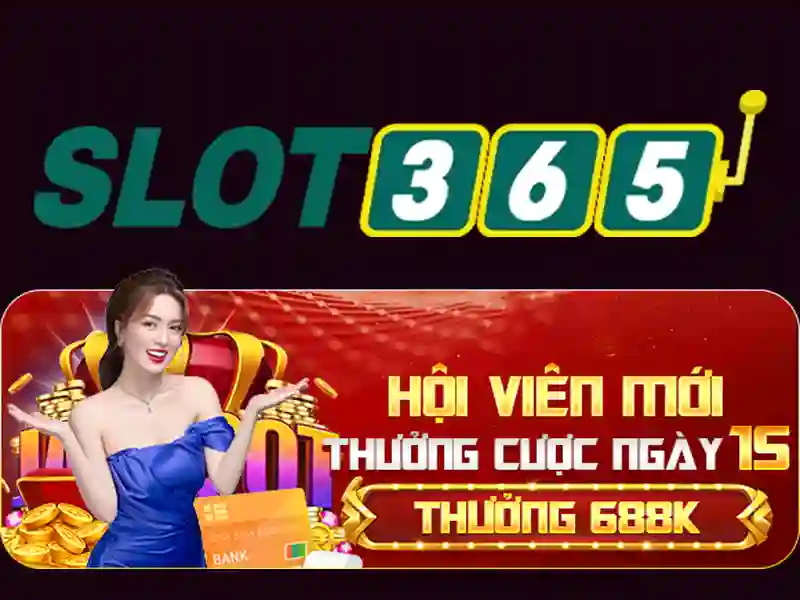 Ưu nhược điểm và trải nghiệm người dùng