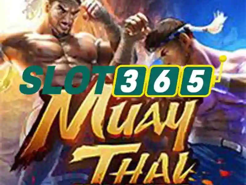 Slot365: Đánh giá nền tảng cá cược trực tuyến
